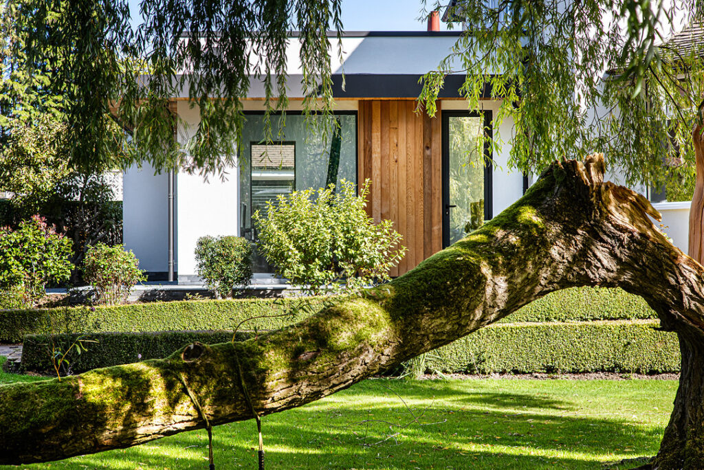 A moss-covered tree trunk lies across a green lawn in front of a modern house with large windows and wooden door.